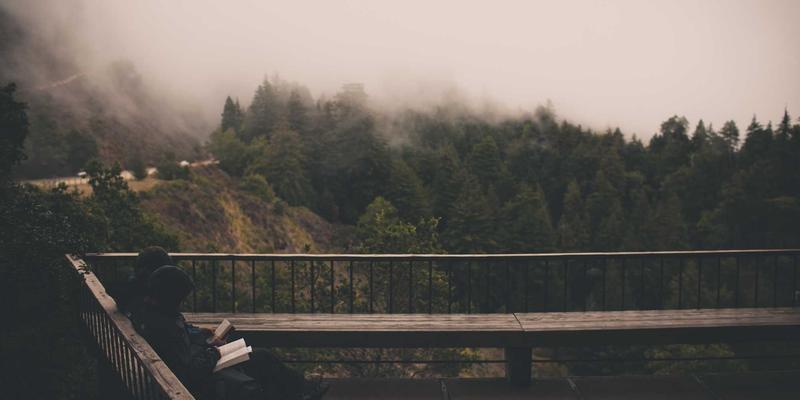 1型糖尿病成人患者的长期管理挑战：从蜜月期到并发症预防的全程策略