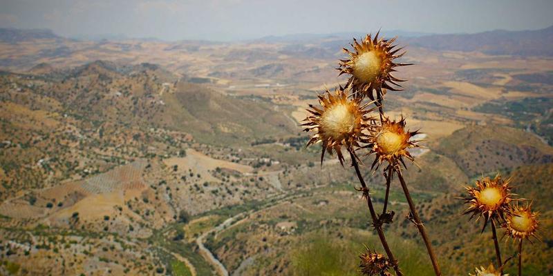 QX糖尿病管理新纪元：从血糖控制到全面并发症预防的未来之路