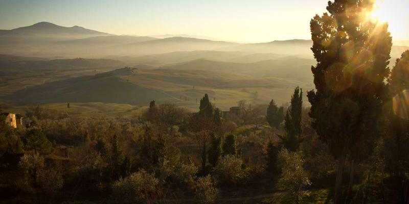 动态血糖监测（CGM）数据的深度解读与应用：从图谱分析到健康饮食与并发症预防
