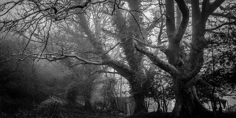 科学控糖从动起来开始：糖尿病患者低强度运动指南与并发症预防要点