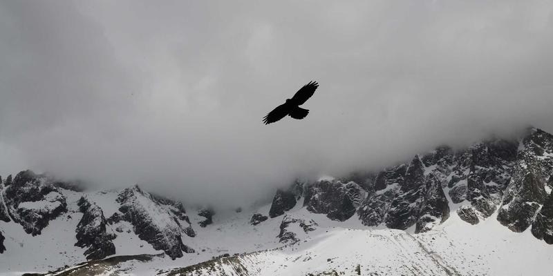 糖尿病患者的疫苗接种指南：为何流感、肺炎与新冠疫苗对血糖控制与并发症预防至关重要
