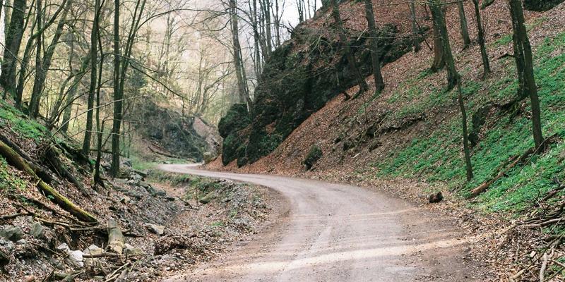 糖尿病管理26：聚焦并发症预防、专业咨询与血糖控制的黄金三角