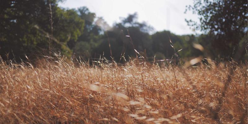 糖尿病管理71：科学血糖控制与并发症预防全攻略