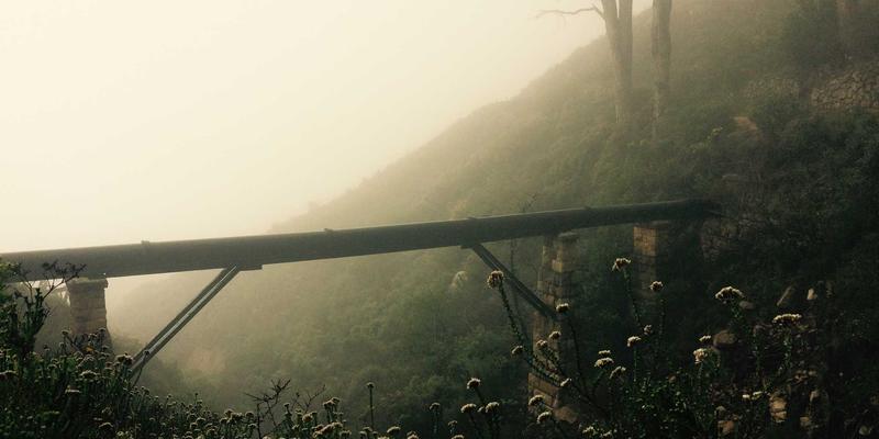 糖尿病管理85:科学运动与血糖控制的黄金法则