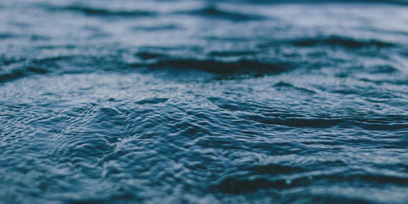 糖尿病管理91：科学饮食与血糖控制的综合策略