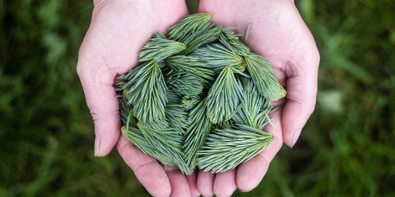 糖尿病管理96：科学控糖新理念与QX糖尿病咨询服务解析