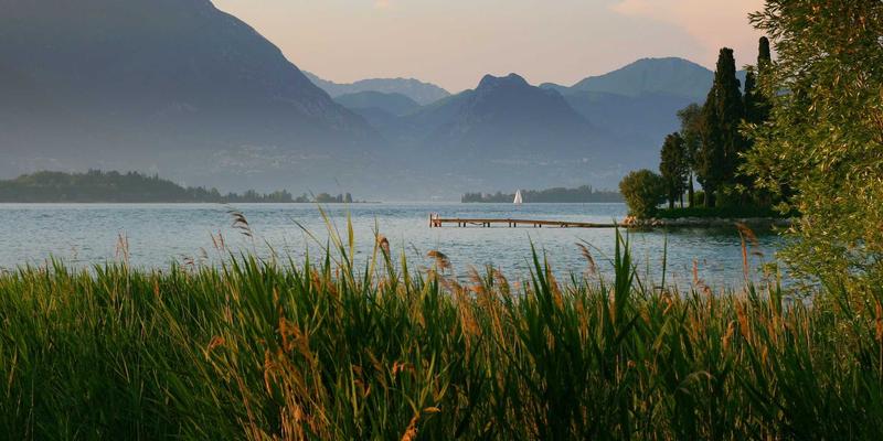 糖尿病管理97：科学控糖、运动与并发症预防全攻略