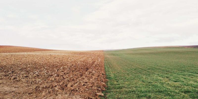 糖尿病管理新焦点：识别周围神经病变，从血糖控制到足部保护