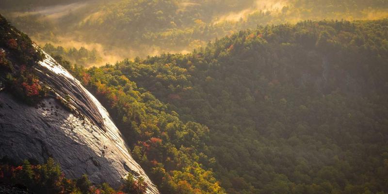 糖尿病管理新篇章：掌握核心技巧，拥抱健康生活