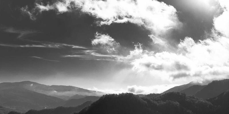 糖尿病管理最佳实践：从健康饮食到QX糖尿病与并发症预防