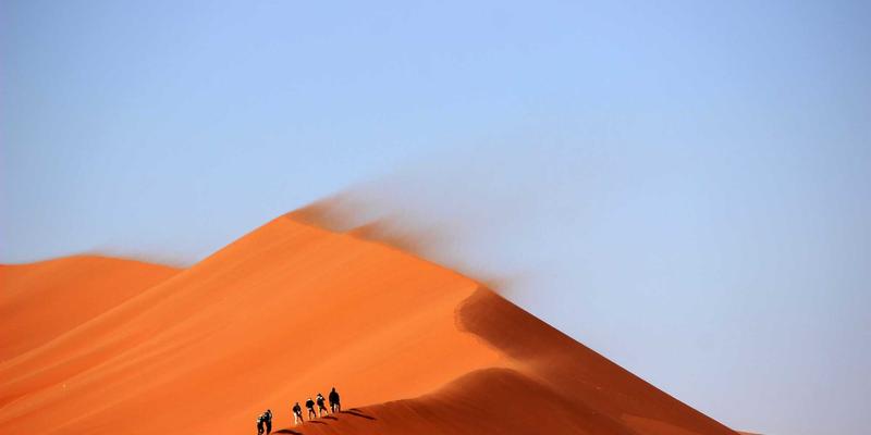 糖尿病肾病早期筛查与管理：如何通过饮食与药物延缓肾功能衰退