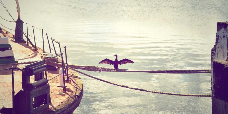 糖尿病视网膜病变的定期筛查与数字化监测：新技术如何助力并发症预防与血糖控制